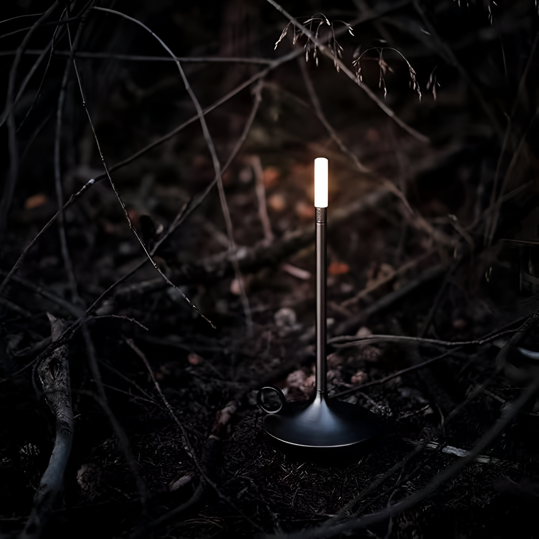 Portable aluminum table lamp with a modern design, emitting a soft glow in a dark, natural setting.