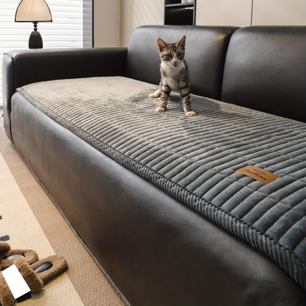 A tabby cat sits on a gray quilted couch cushion protector on a black leather sofa.