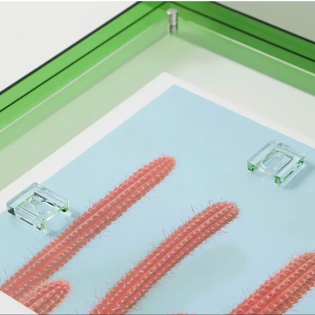 Green acrylic picture frame with clear clips holding a print of pink cacti on a blue background.