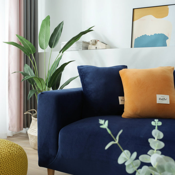 Navy blue velvet couch with orange and blue accent pillows and a large green plant.