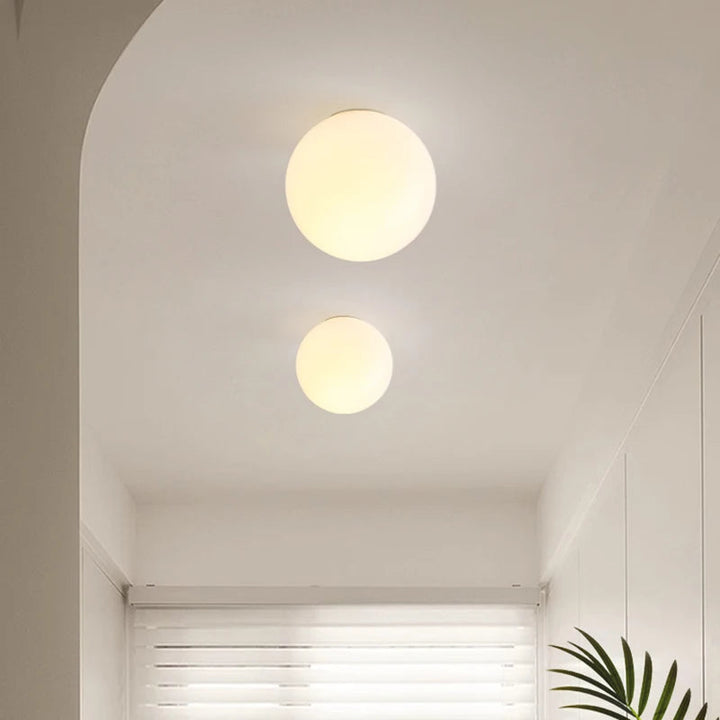 Two round glass wall sconces, one larger than the other, mounted on a white ceiling.