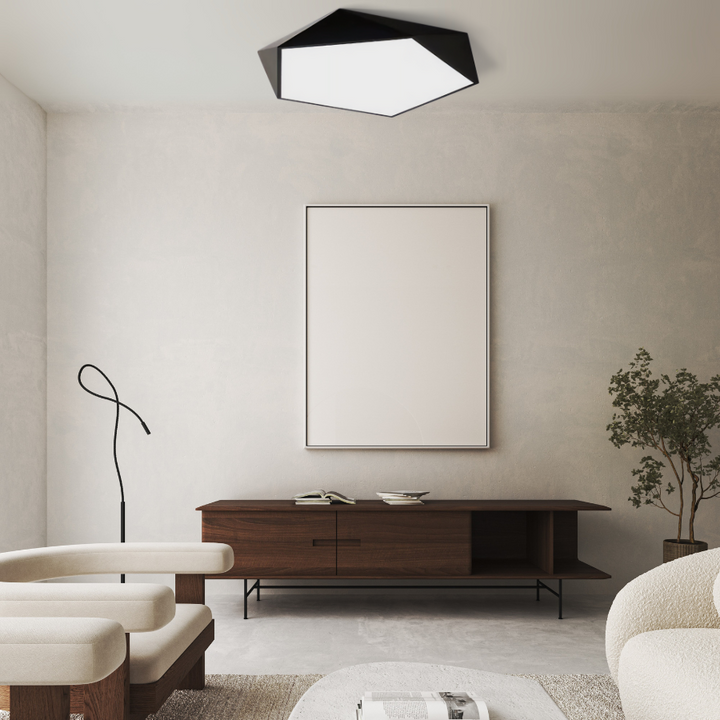 Modern geometric dome ceiling light with a black frame and white diffuser.